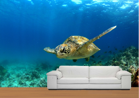 Wall Graphics
